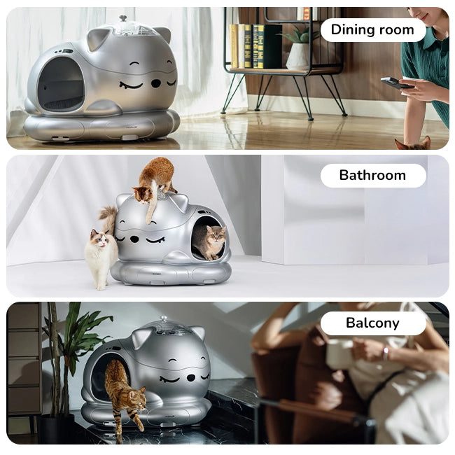 Silver cartoon-cat shaped modular pet house shown with playful kittens in various home settings