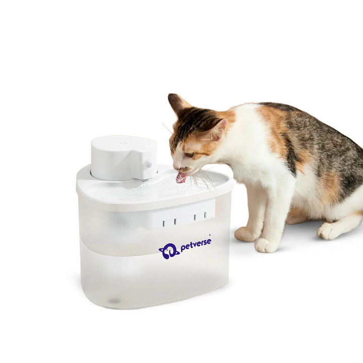 Calico cat drinking from a white Petverse automatic water fountain with a translucent reservoir.