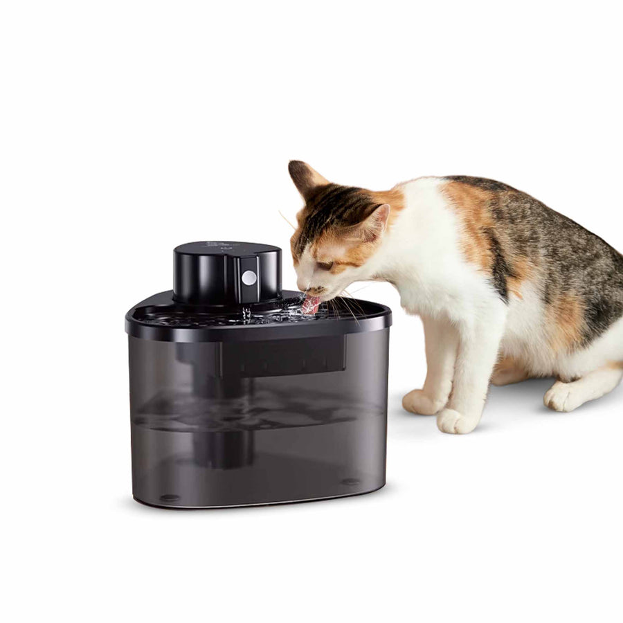 Petverse Kitty Water Fountain 
