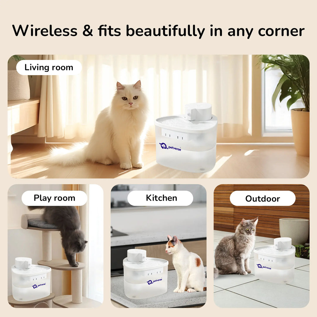 Four-panel collage showing cats with a white Petverse water fountain in different home settings: kitchen, playroom, living room, and outdoor patio.