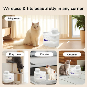 Four-panel collage showing cats with a white Petverse water fountain in different home settings: kitchen, playroom, living room, and outdoor patio.