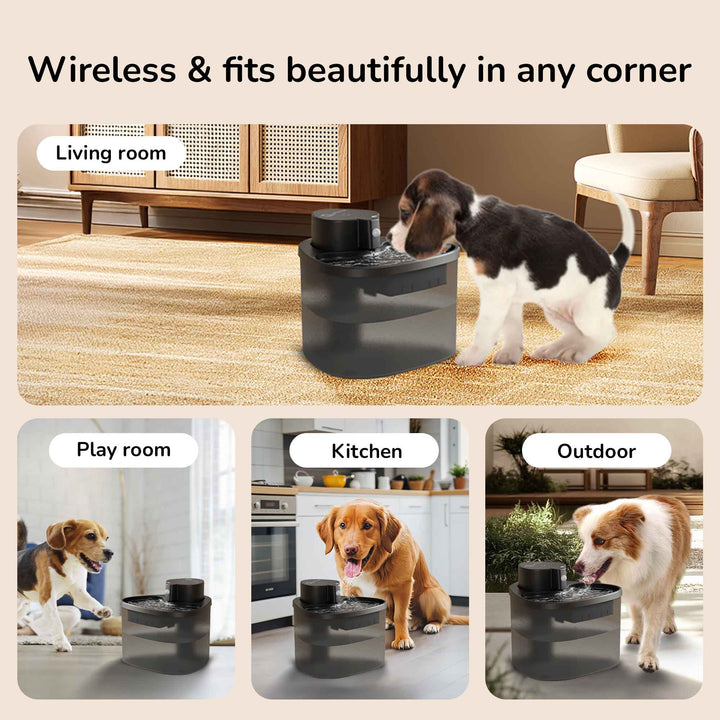Petverse Dog Water Fountain Ideal for Home or Travel