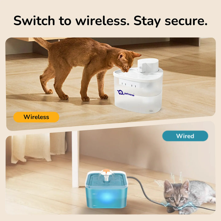 Top panel: a brown cat drinks from a wireless white Petverse pet water fountain; bottom panel: a wired blue pet fountain with a kitten nearby.