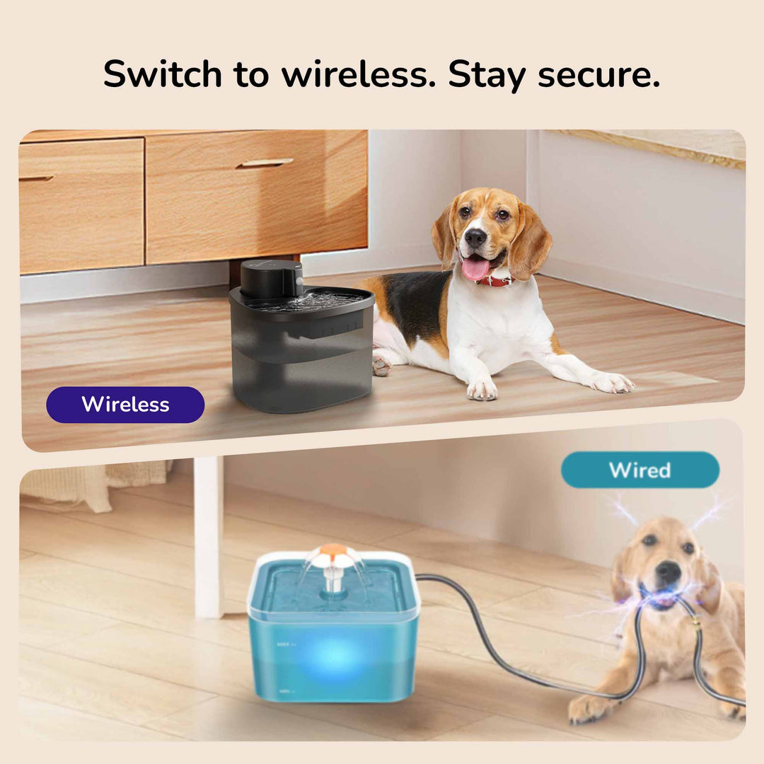 Petverse Wireless Dog Water Dispenser
