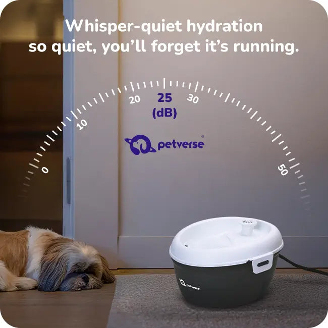 Automatic pet water fountain with sleeping dog and text ‘whisper-quiet hydration’ showing quiet operation.