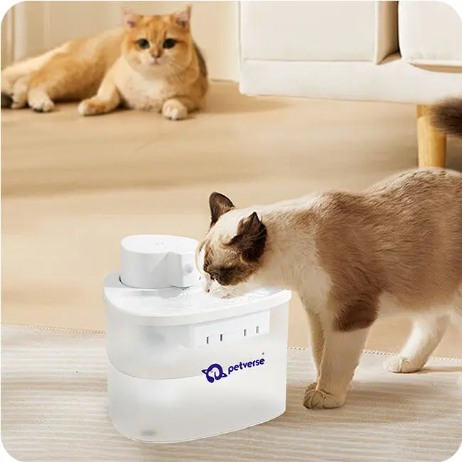 Cat drinking from a white Petverse branded automatic water fountain with another cat lying in the background.