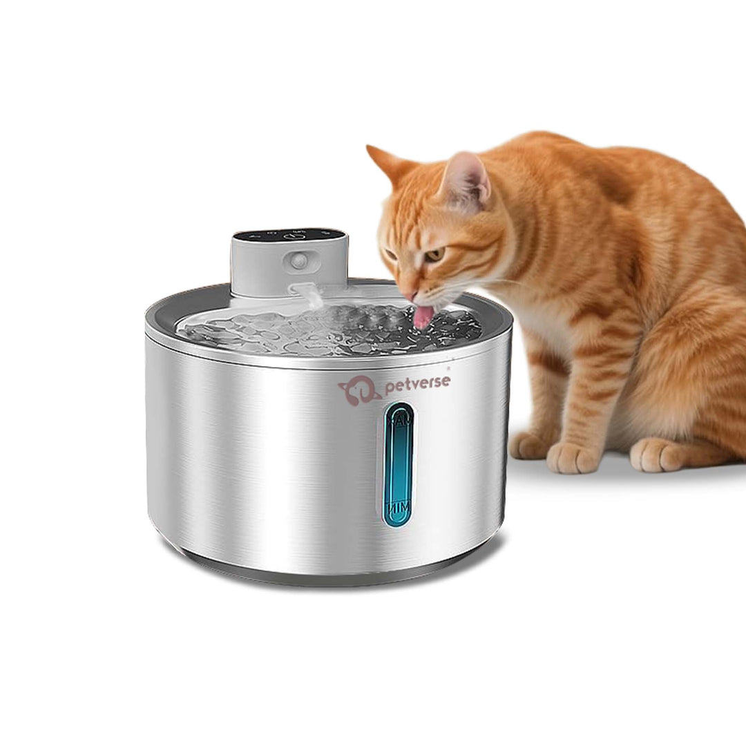 Smart Motion Sensor Cat Water Fountain (4L)
