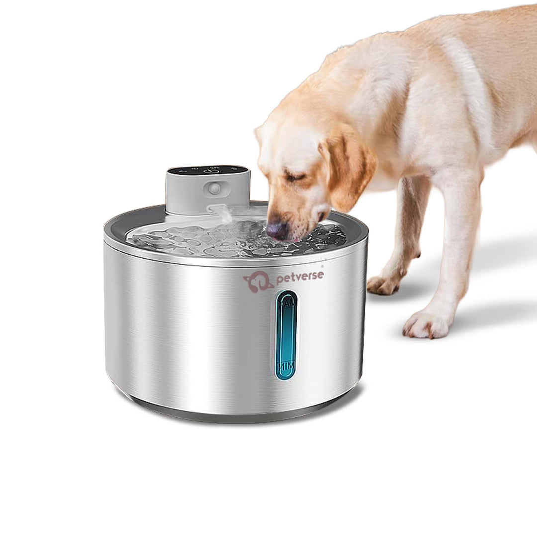 Smart Motion Sensor Dog Water Fountain (4L)