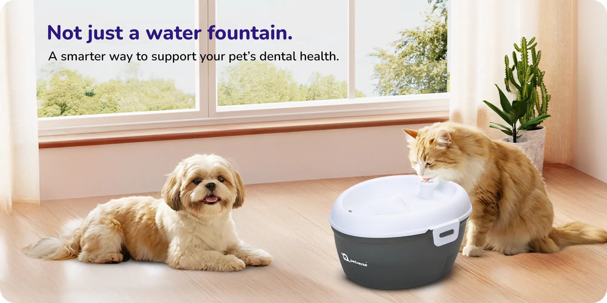 A cat and dog drinking fresh flowing water from a smart pet water fountain designed to support daily hydration and dental health.