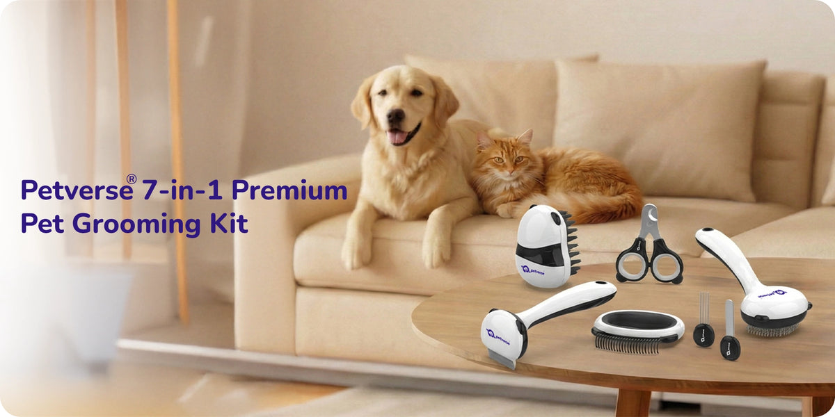 Petverse 7‑in‑1 premium pet grooming kit with brushes, scissors, and tools shown with dog and cat.