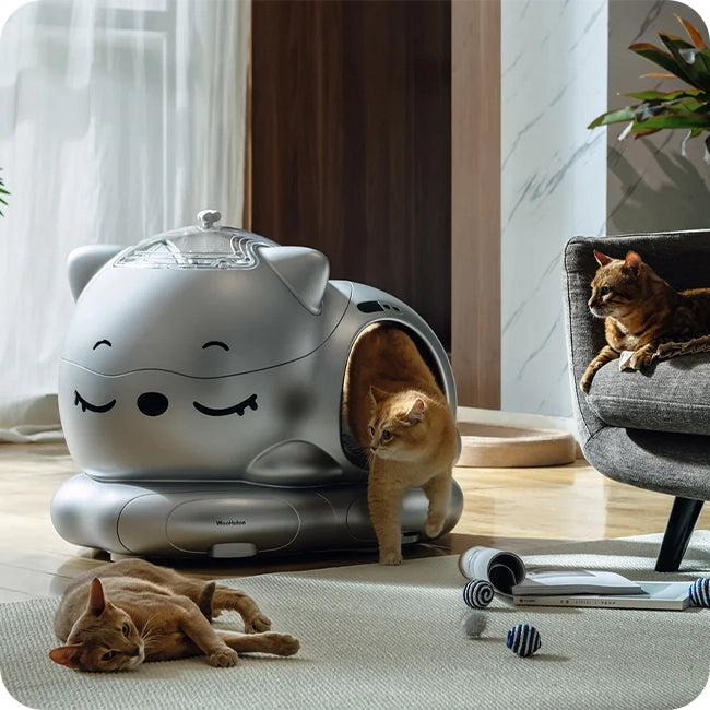Silver cat‑shaped smart litter box in living room with cats around it and toys on the floor.