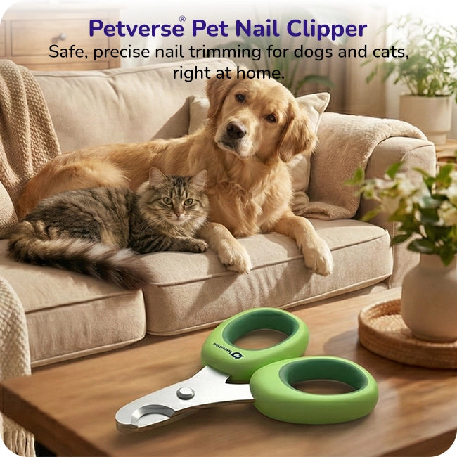 Petverse pet nail clippers on table with dog and cat resting on a couch, promoting safe, precise at‑home grooming