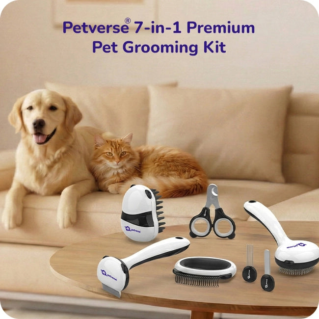 Pet grooming brush with ergonomic grip brushing relaxed cat on couch