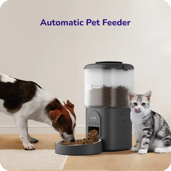 Automatic Pet Feeder with a dog eating from the bowl and a cat sitting beside