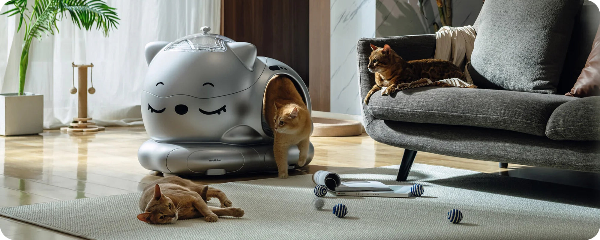 Silver cat‑shaped smart litter box in living room with curious cats around and toys on carpet.