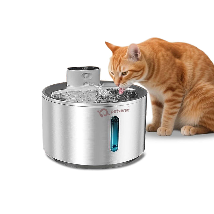 Smart Motion Sensor Cat Water Fountain (4L)