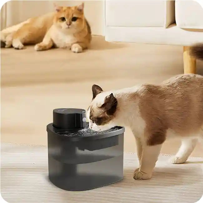 A cat drinking from a modern black pet water fountain with another cat lounging in the background.