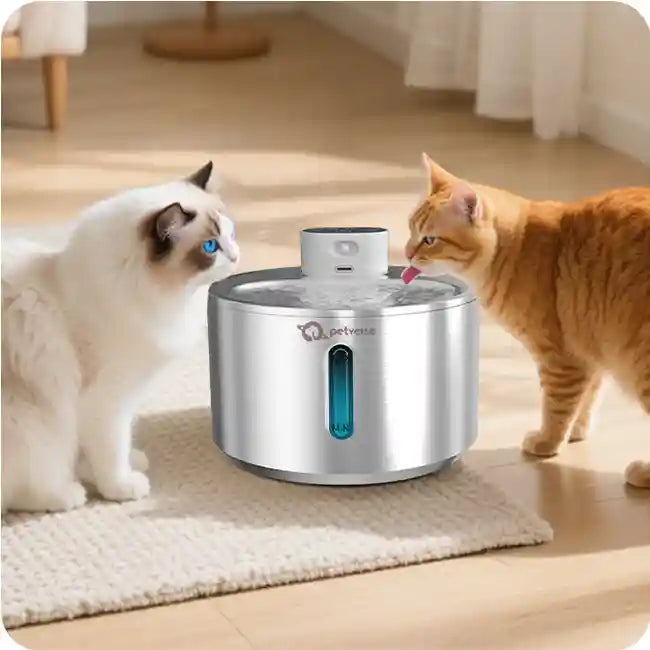 Two cats drinking from a stainless steel Petverse pet water fountain on a living room floor.