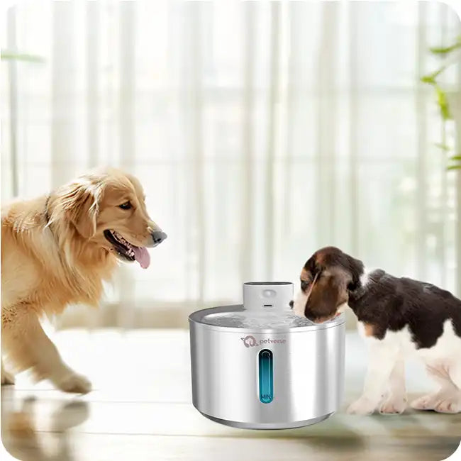 Two dogs drinking from a stainless steel pet fountain.