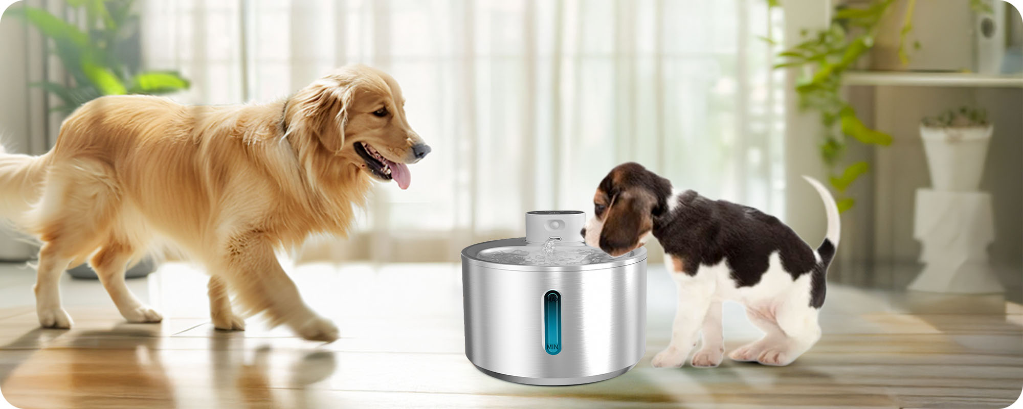 Petverse Dog Water Fountain-Effortless Hydration for Healthier, Happier Dogs