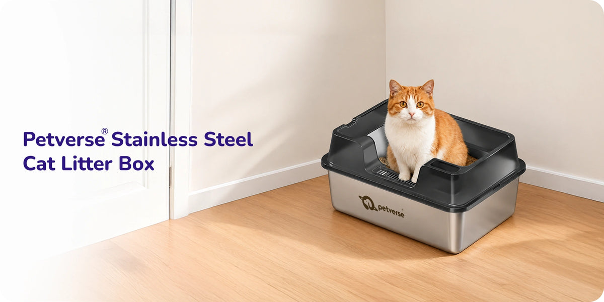 Stainless steel cat litter box front view