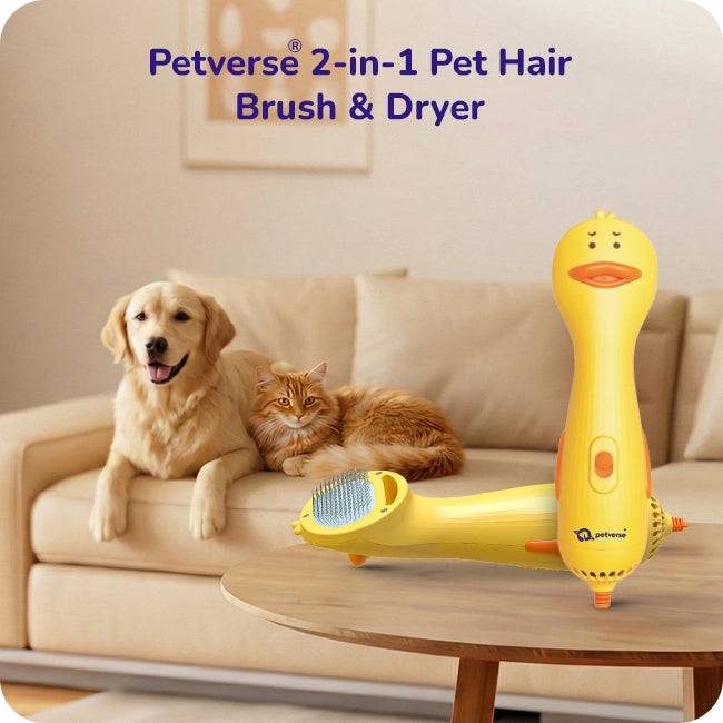 Yellow 2‑in‑1 pet brush and dryer with dog and cat on sofa.