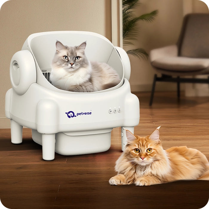 Two cats relaxing with one sitting inside a modern white Petverse automatic litter box in a cozy living room.