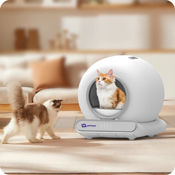 Two cats interacting with a modern automatic cat litter box in a cozy living room setting.