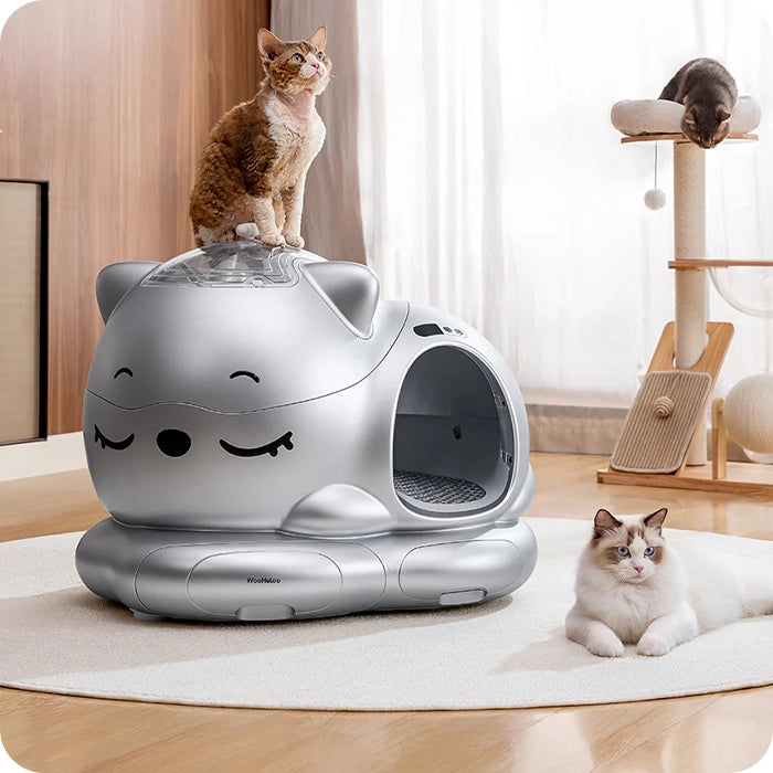 Silver cat‑shaped smart cat litter box with playful face design in living room with three cats interacting on and around it.