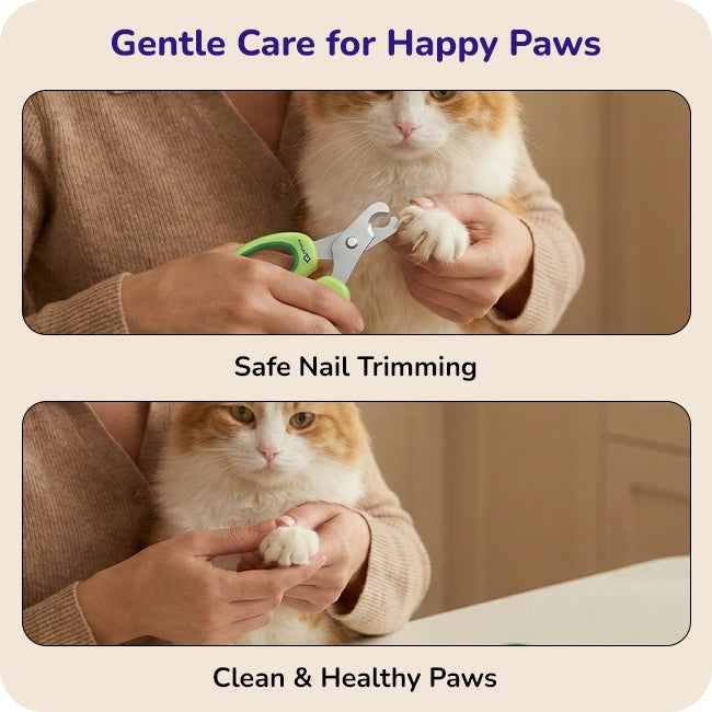 Person carefully trimming a cat’s nails with green clippers for gentle, safe nail care and clean, healthy paws