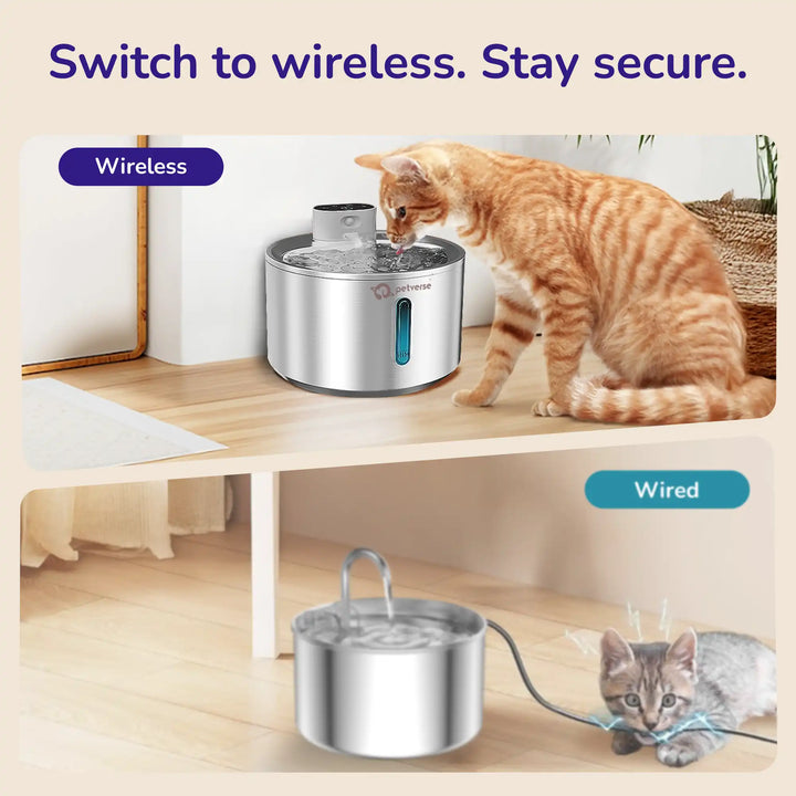 The top image shows Cat drinking from a wireless pet water fountain