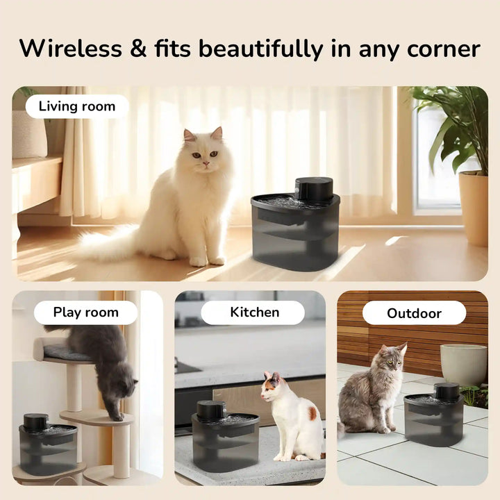 Cats around a wireless pet water fountain shown in living room, playroom, kitchen, and outdoor settings.
