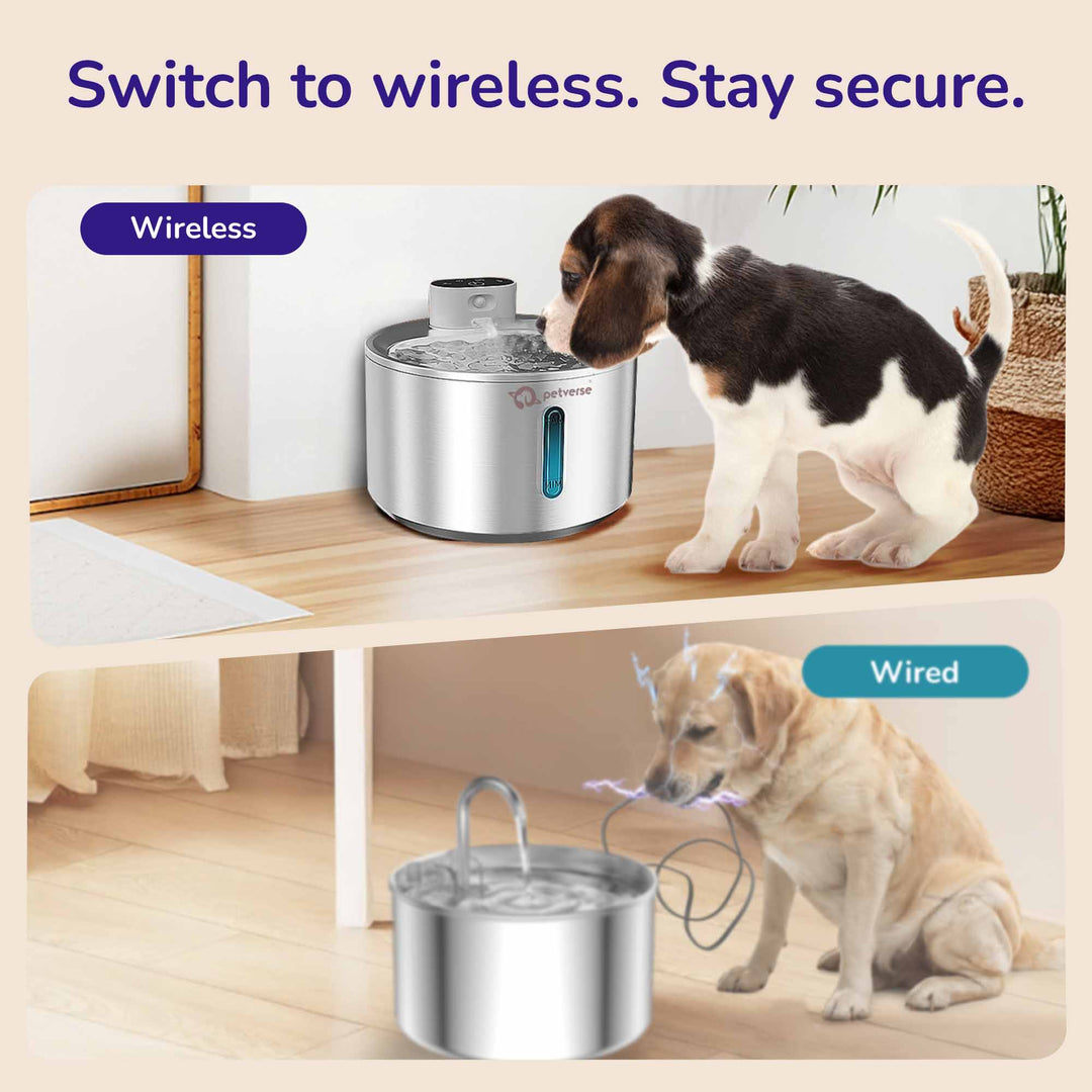 Smart Motion Sensor Dog Water Fountain (4L)