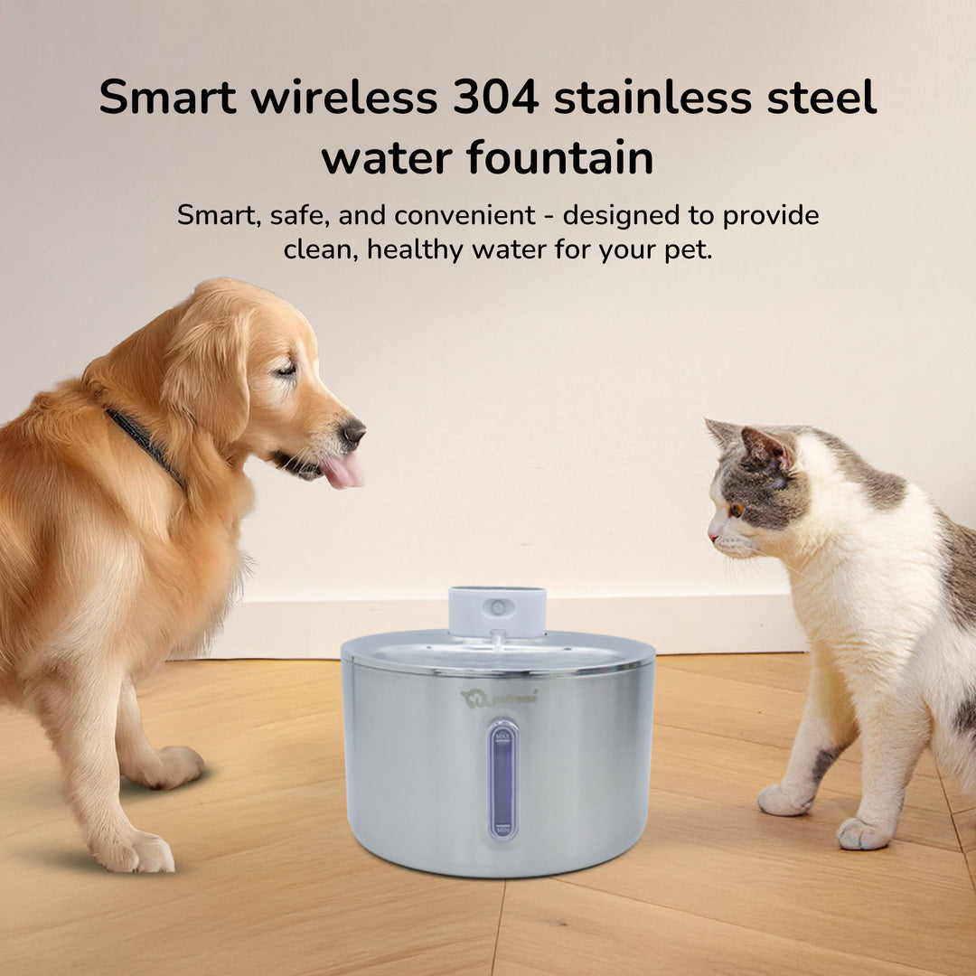 Smart wireless 304 stainless steel pet water fountain.