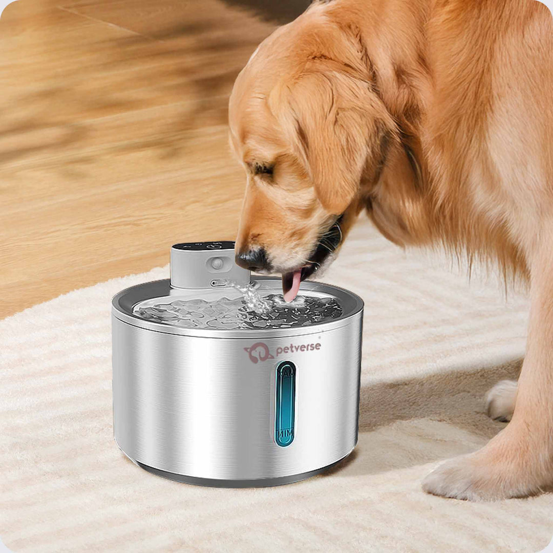 Smart Motion Sensor Dog Water Fountain 