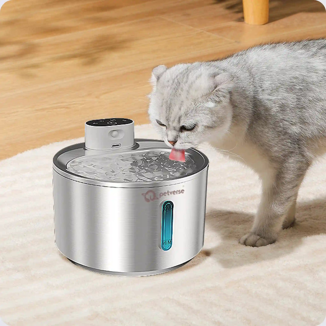 A cat is drinking from a Petverse pet water fountain with a water flow.