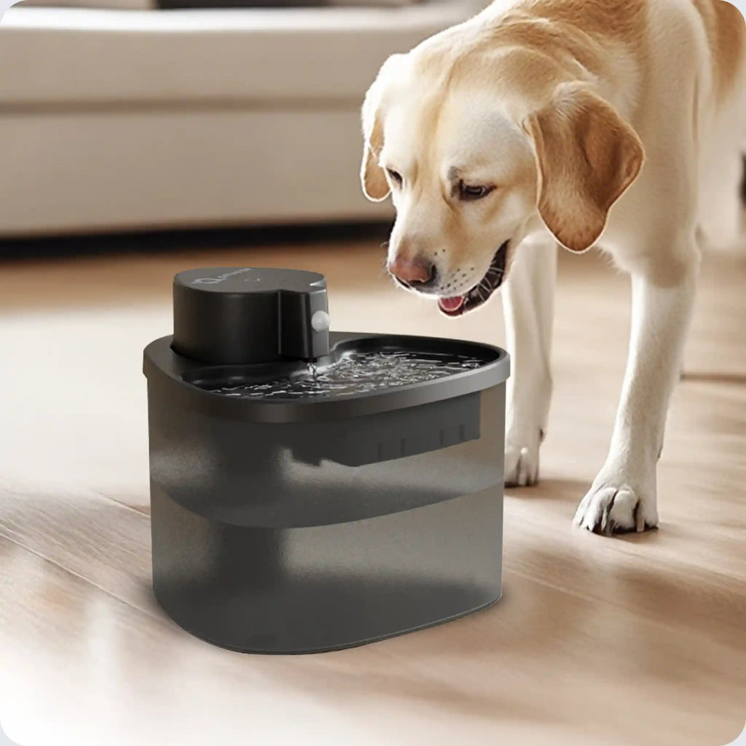 Dog drinking from flowing black pet water fountain on wooden floor.