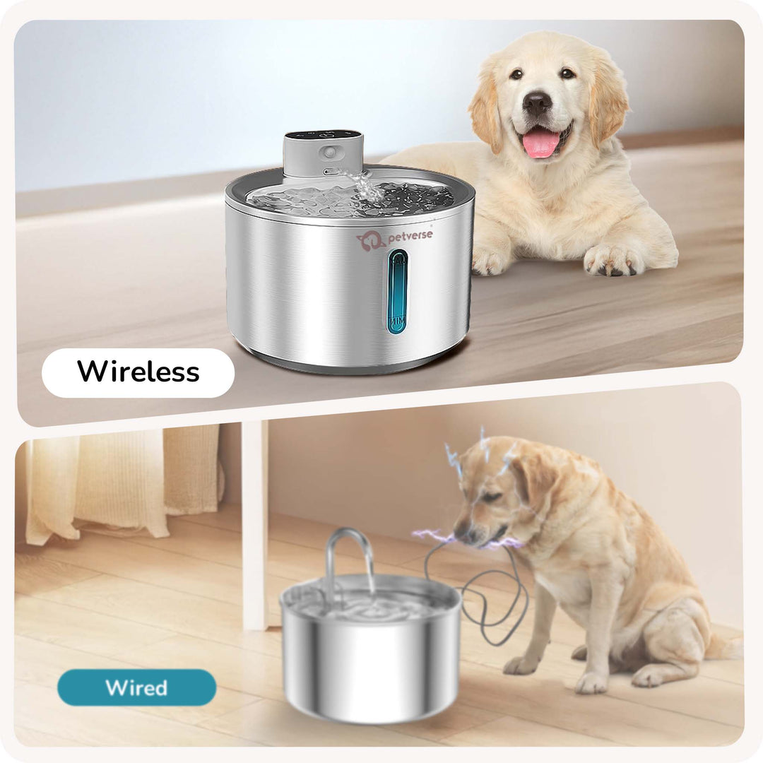 Cordless Motion Sensor Dog Water Fountain 