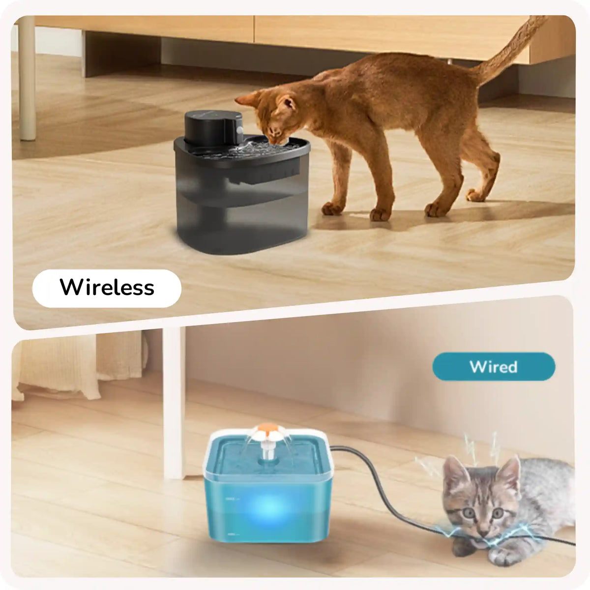 Two pet water fountain styles are shown: a wireless black fountain with a cat drinking and a wired blue fountain with a kitten beside the cord.