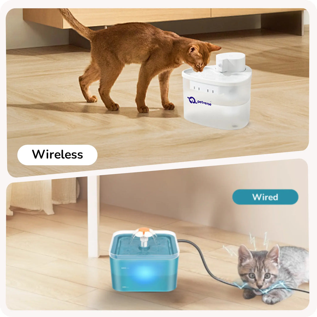 Top panel: a brown cat drinks from a wireless white Petverse pet water fountain; bottom panel: a wired blue pet fountain with a kitten nearby.