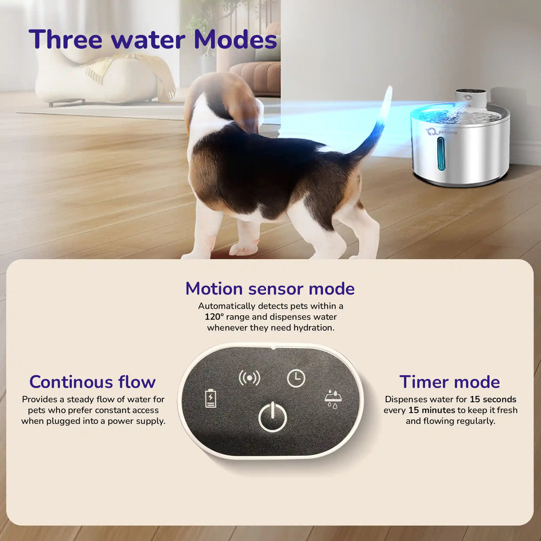 Pet water fountain showing a puppy and three water modes with icons