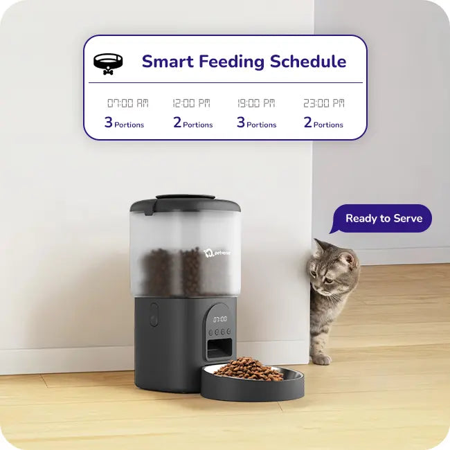 Automatic pet feeder with a smart feeding schedule graphic and a cat beside it.