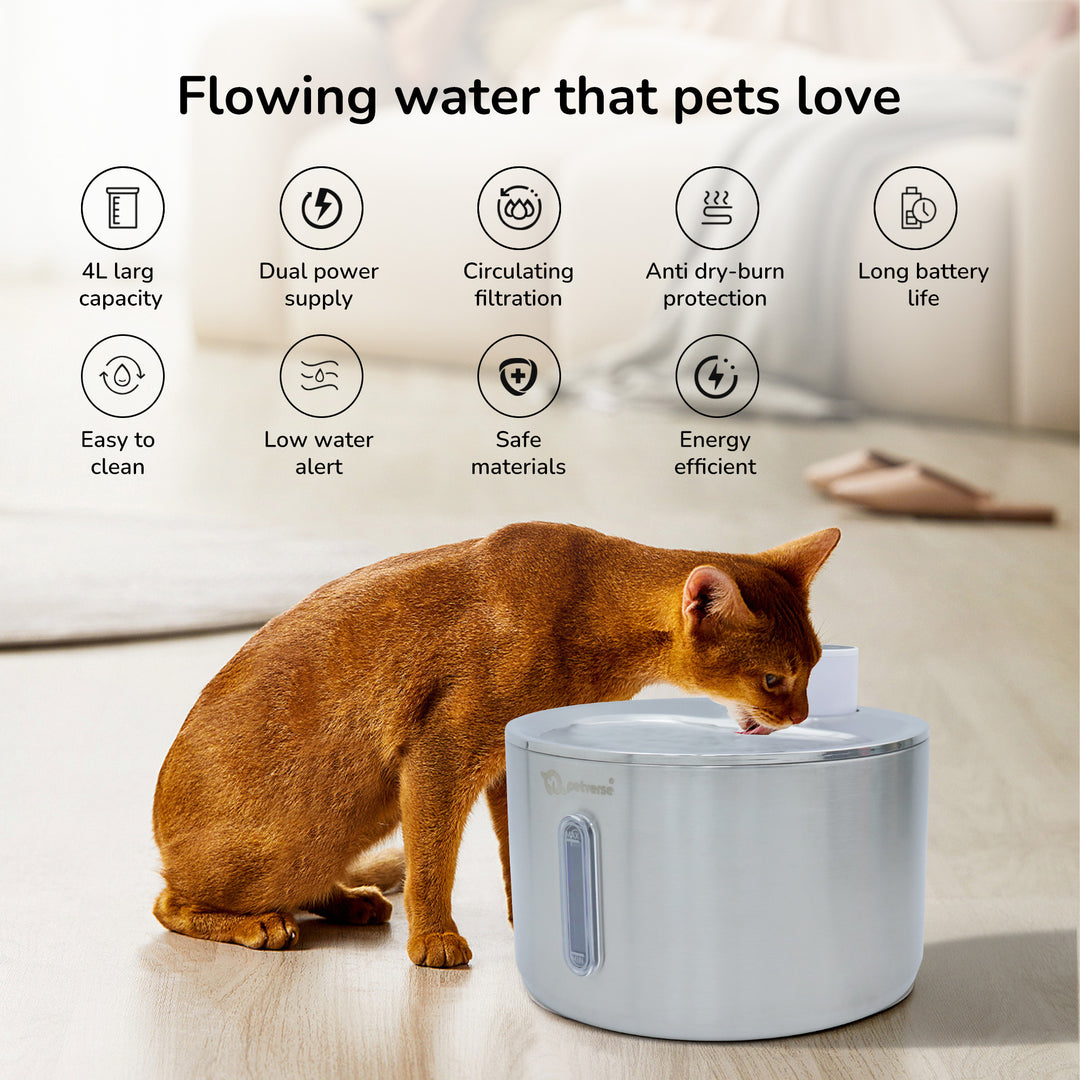 Smart Motion Sensor Cat Water Fountain - Features