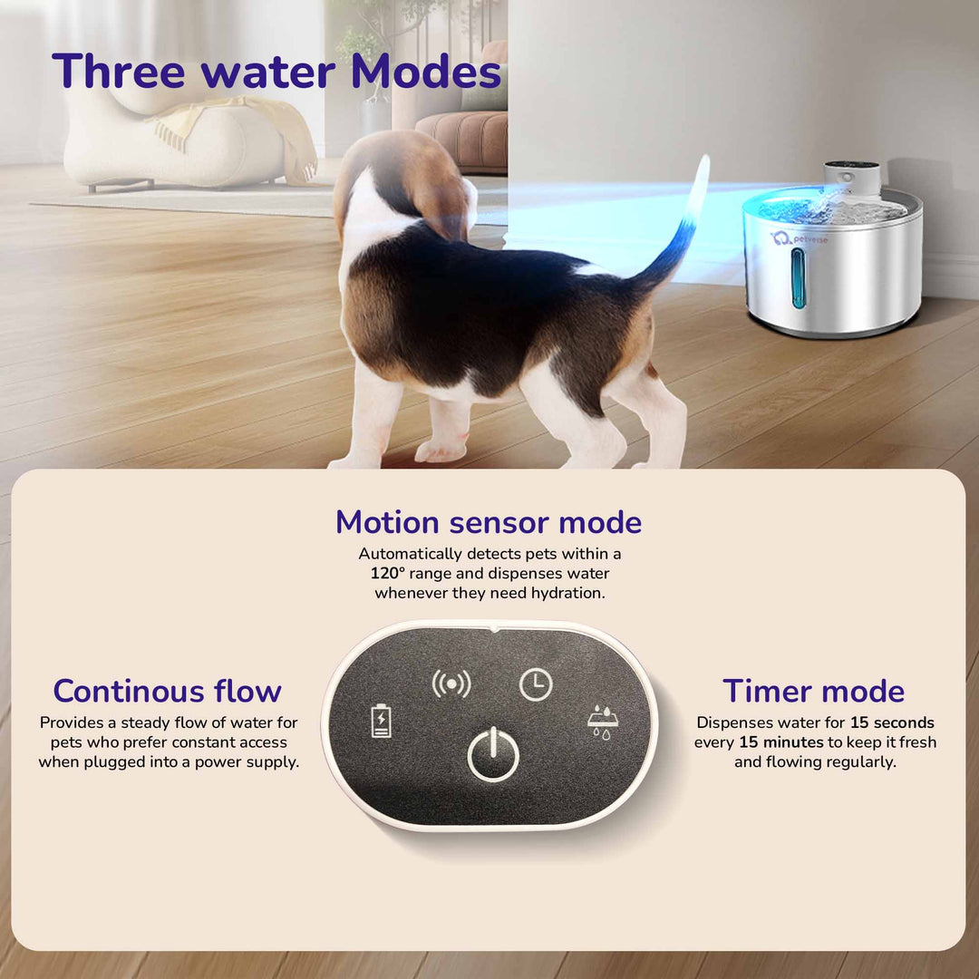 Smart Motion Sensor Dog Water Fountain (4L)