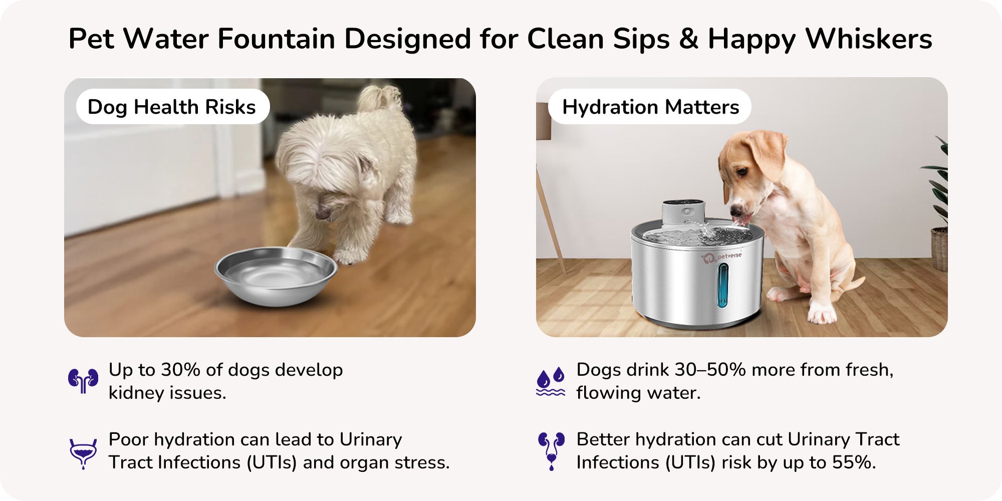 Pet water fountain designed for clean sips and happy whiskers