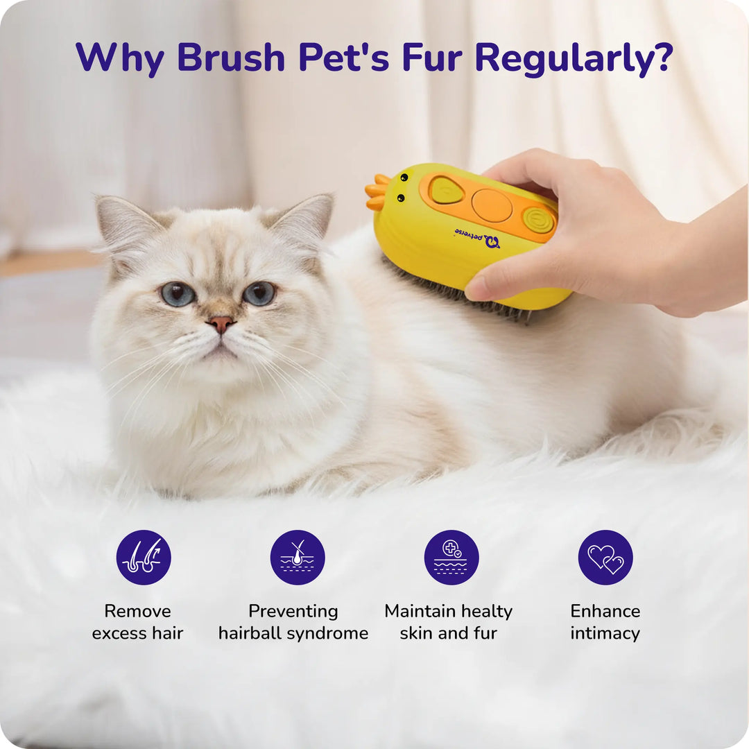 “Hand brushing a long‑haired white cat with a yellow pet grooming brush and text ‘Why Brush Pet’s Fur Regularly?’ 