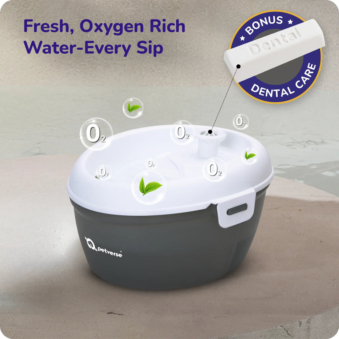 ‘Fresh, oxygen-rich water every sip’ and bonus dental care stick