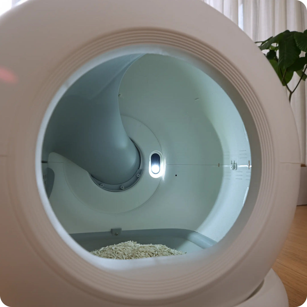 Interior view of a white automatic litter box showing empty round chamber and some litter at bottom.