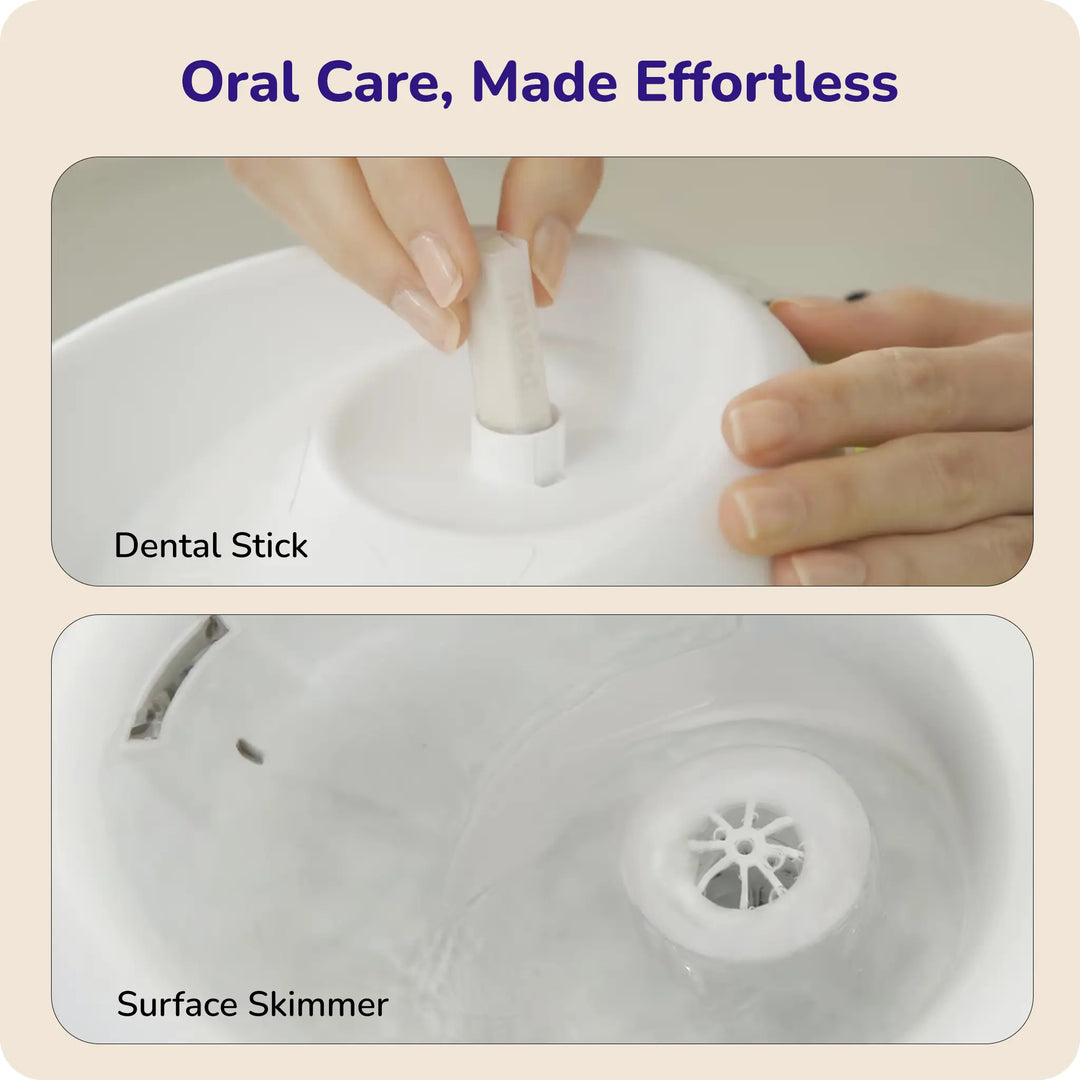 pet water fountain showing dental stick and surface skimmer for easy oral care
