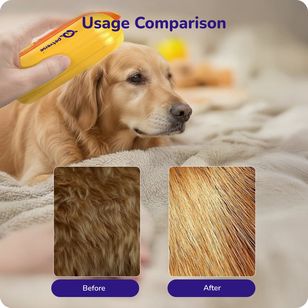 Usage comparison of pet grooming tool on golden retriever showing before and after fur smoothing